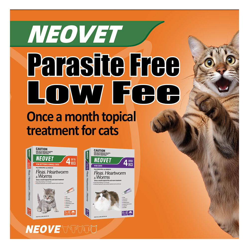 Neovet Flea and Worming For Kittens and Small Cats Upto 4kg Orange
