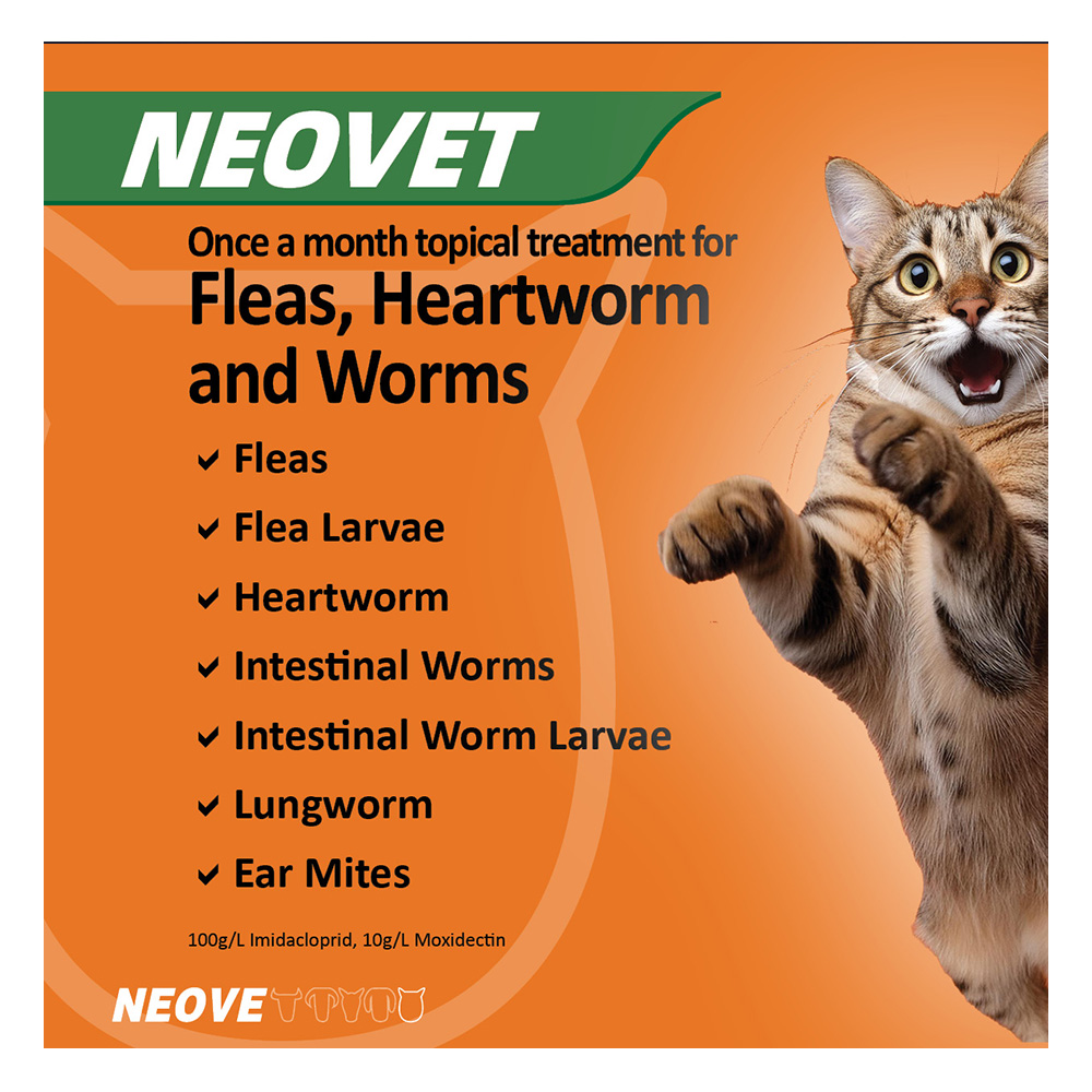 Neovet Flea and Worming For Kittens and Small Cats Upto 4kg Orange