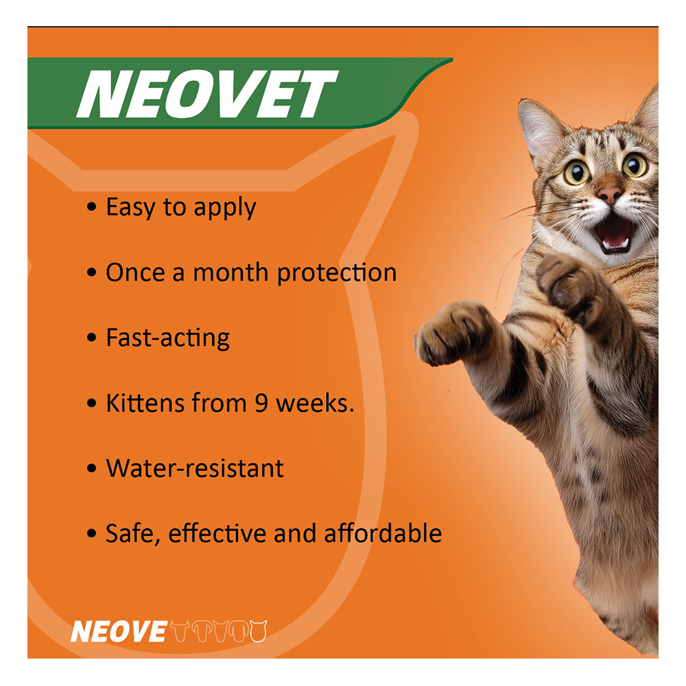 Neovet Flea and Worming For Kittens and Small Cats Upto 4kg Orange