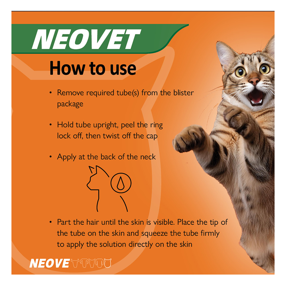 Neovet Flea and Worming For Kittens and Small Cats Upto 4kg Orange
