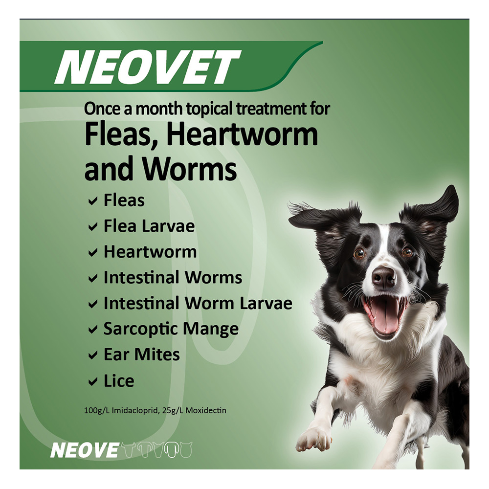 Neovet Flea and Worming For Extra Large Dogs Over 25Kg Blue