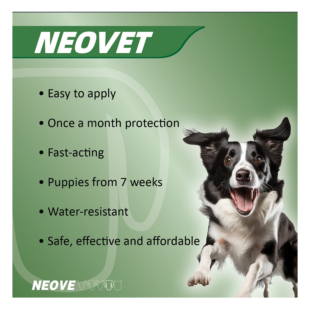 Neovet Flea and Worming For Extra Large Dogs Over 25Kg Blue