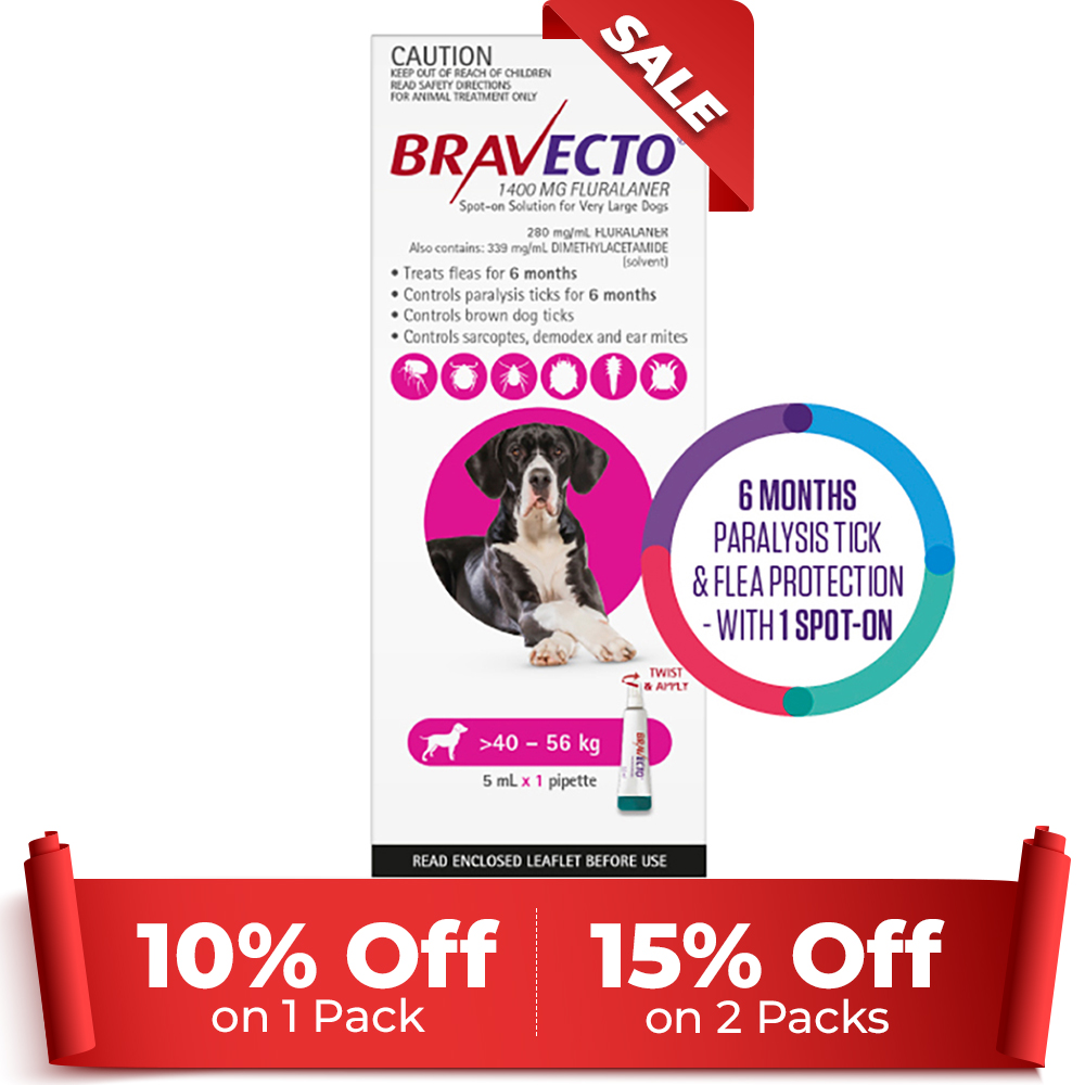 Bravecto Spot On For X-Large Dogs (40 - 56 Kg) Pink 1 Pack