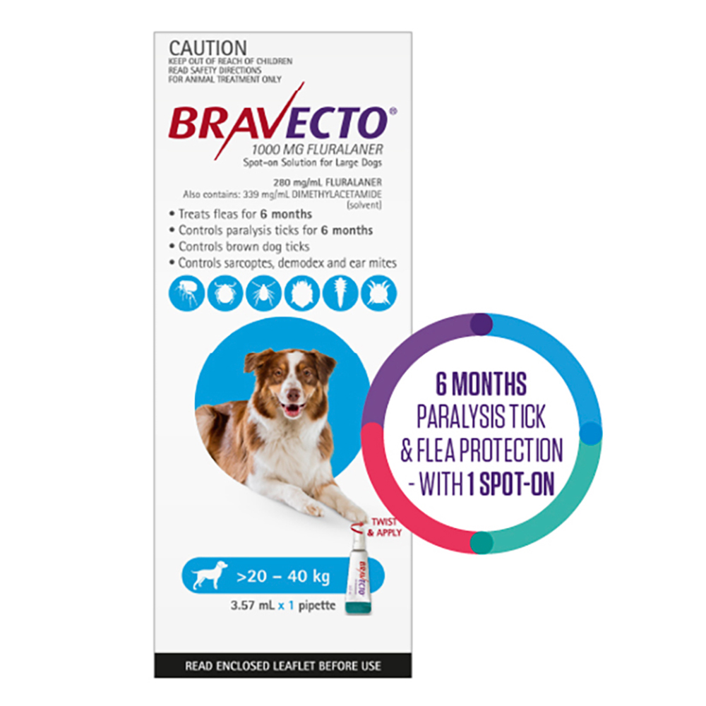 Bravecto Spot On for Large Dogs (20 - 40 kg) Aqua