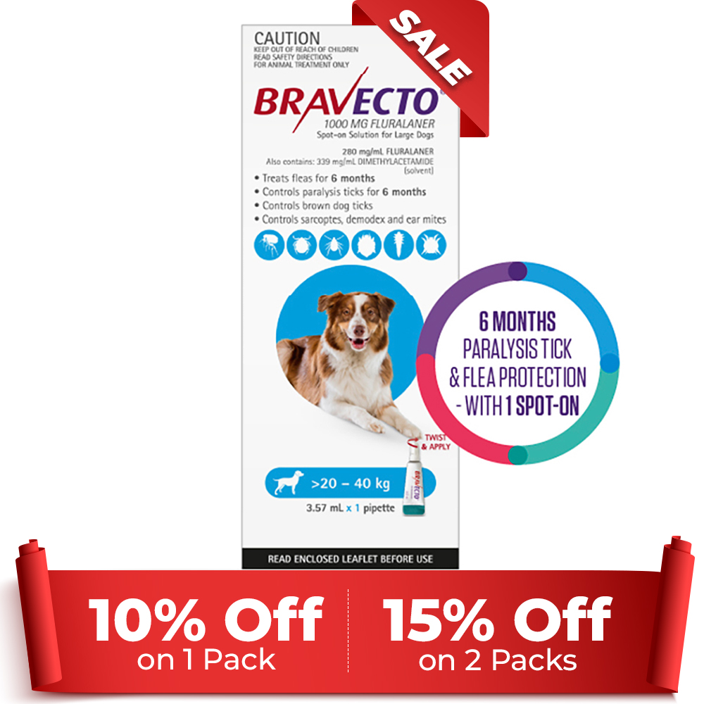 Bravecto Spot On For Large Dogs (20 - 40 Kg) Aqua 1 Pack (Exp: 02/2026)