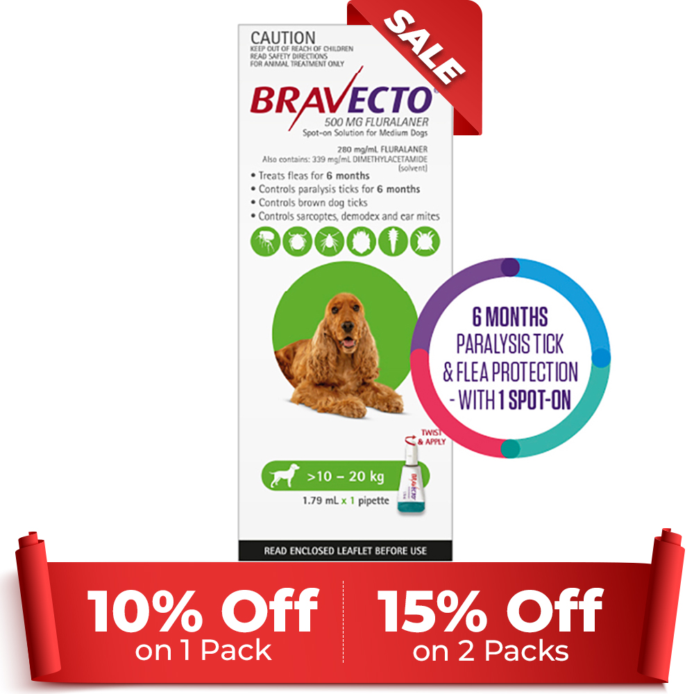 Bravecto Spot On For Medium Dogs (10 - 20 Kg) Green 1 Pack