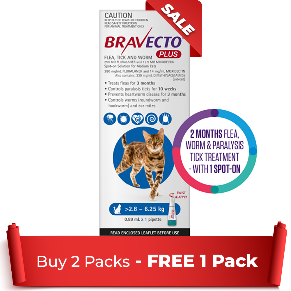 Bravecto Plus For Medium Cats 2.8 – 6.25 Kg (Blue) 1 Pack
