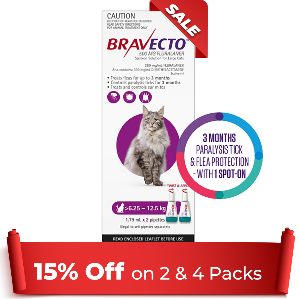 Bravecto Spot On For Large Cats (6.25 - 12.5 kg) Purple