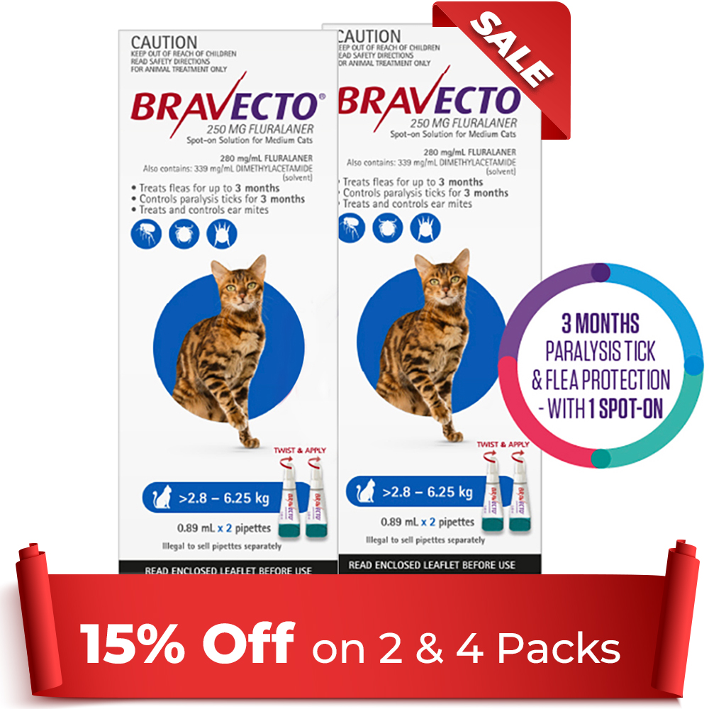 Bravecto Spot On For Medium Cats (2.8 - 6.25 Kg) Blue 4 Pipettes