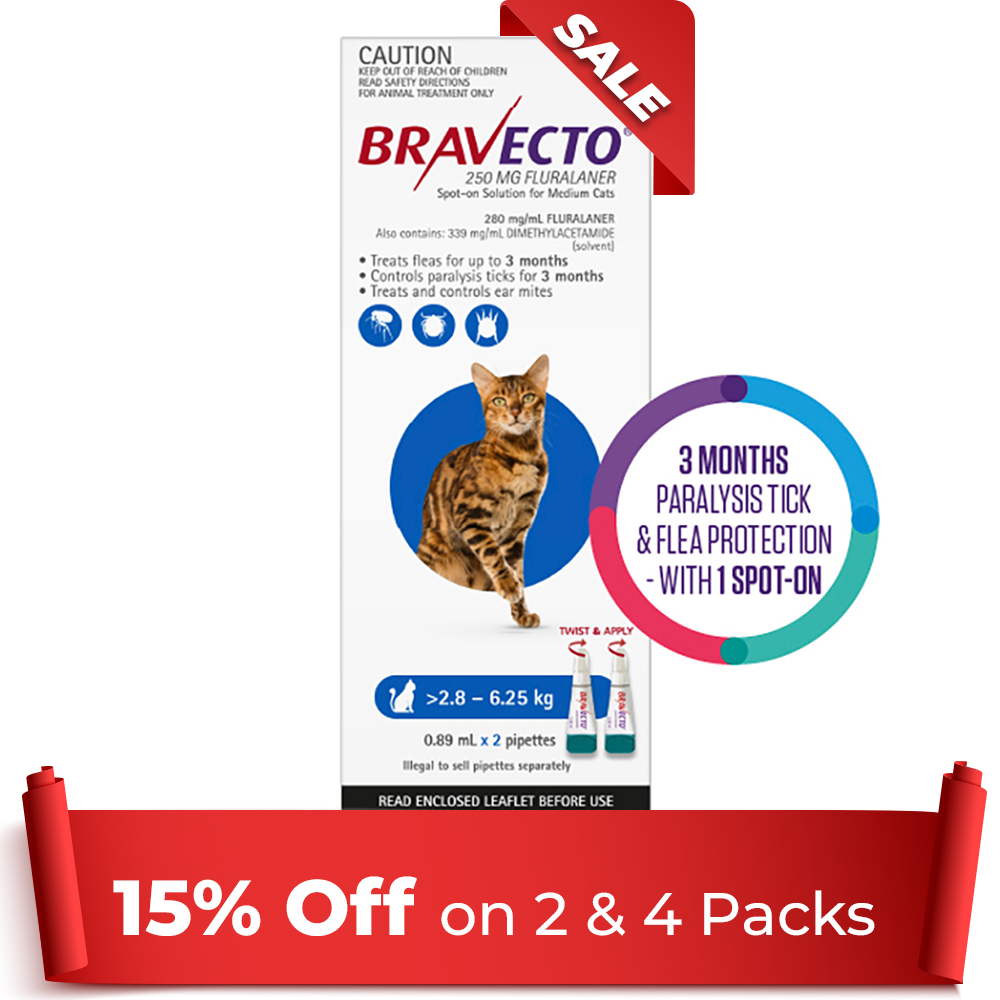 Bravecto Spot On For Medium Cats (2.8 - 6.25 Kg) Blue 2 Pipettes