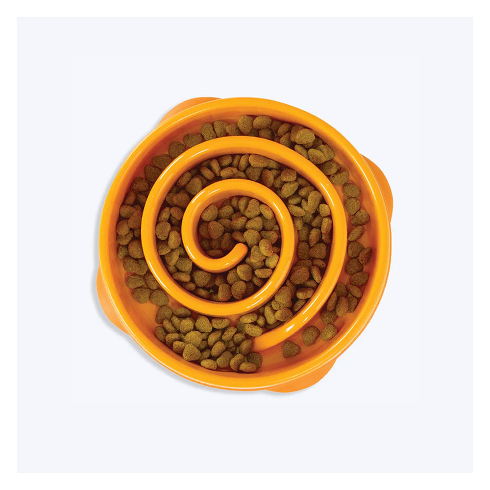 Outward Hound Fun Feeder Slo Bowl for Dogs for Dog Supplies