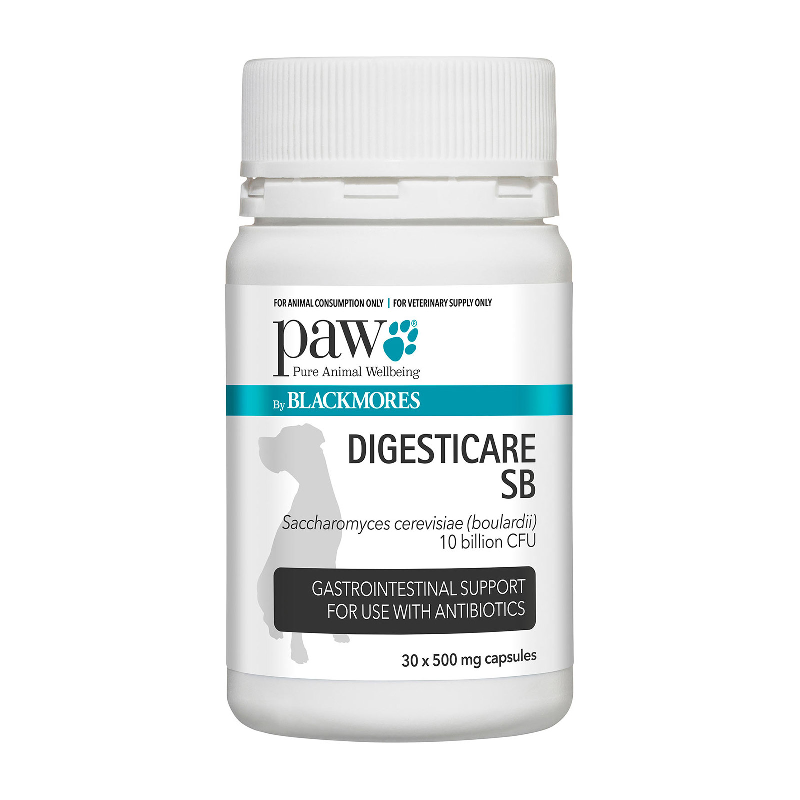 Paw Digesticare Sb 500 Mg