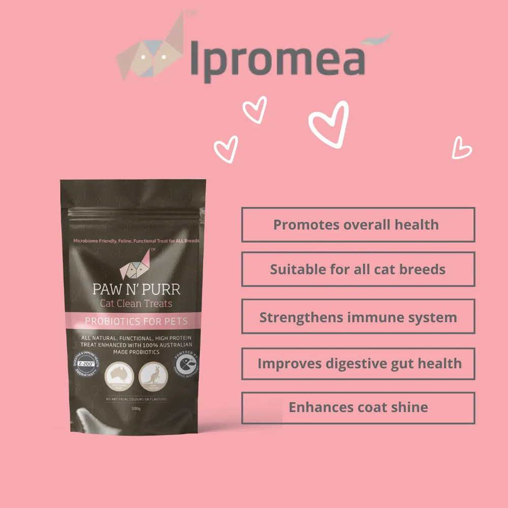 Ipromea Paw N Purr Probiotic Clean Treats for Cats