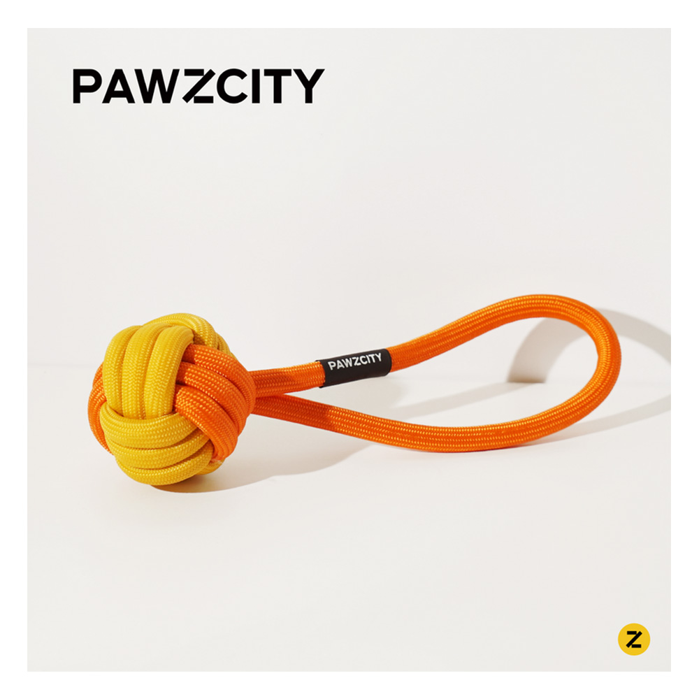 Pawzcity Interactive Rope Ball With Loop Bergamot 1 Pack