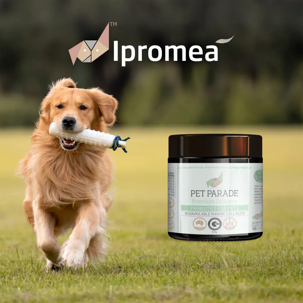 Ipromea Pet Parade Collagen Probiotic Powder for Dogs and Cats