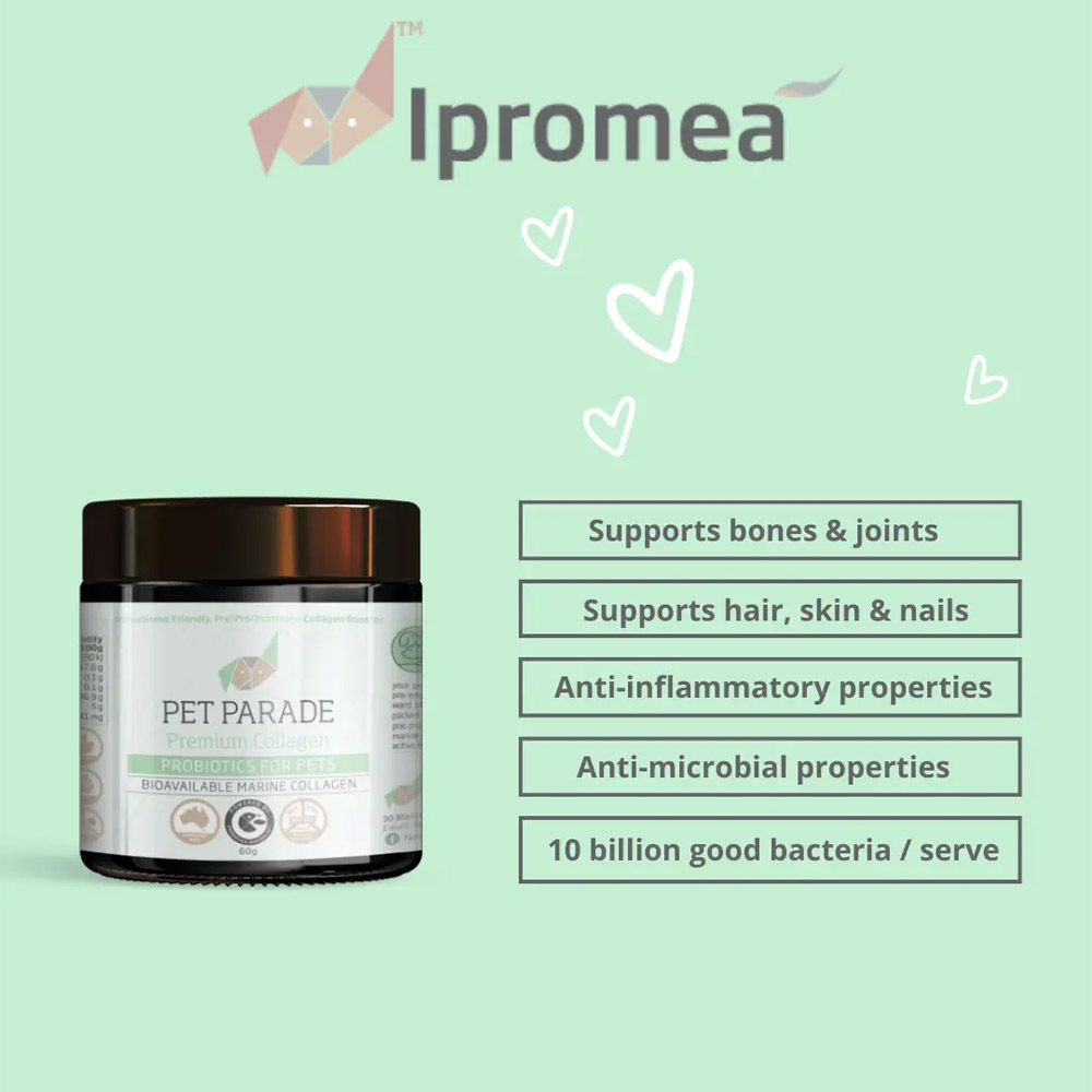 Ipromea Pet Parade Collagen Probiotic Powder for Dogs and Cats