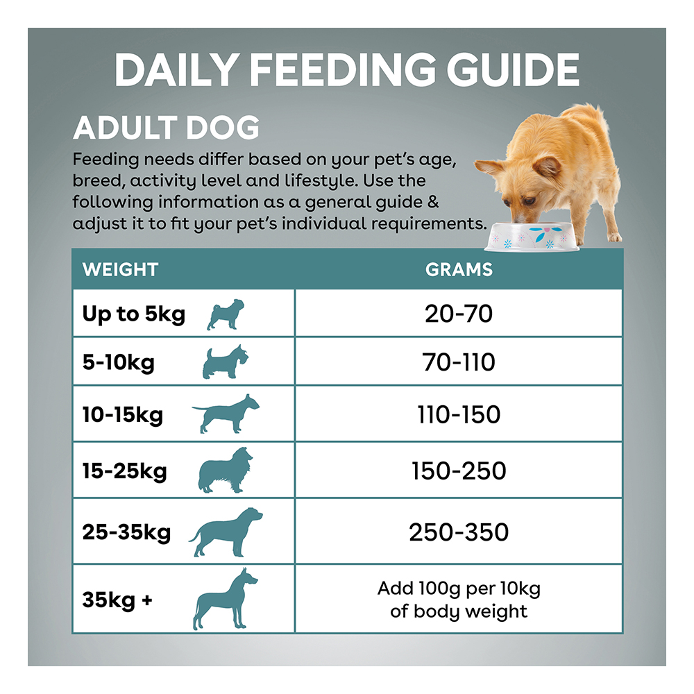 Pure Life Natural Boost Salmon Adult Dry Dog Food