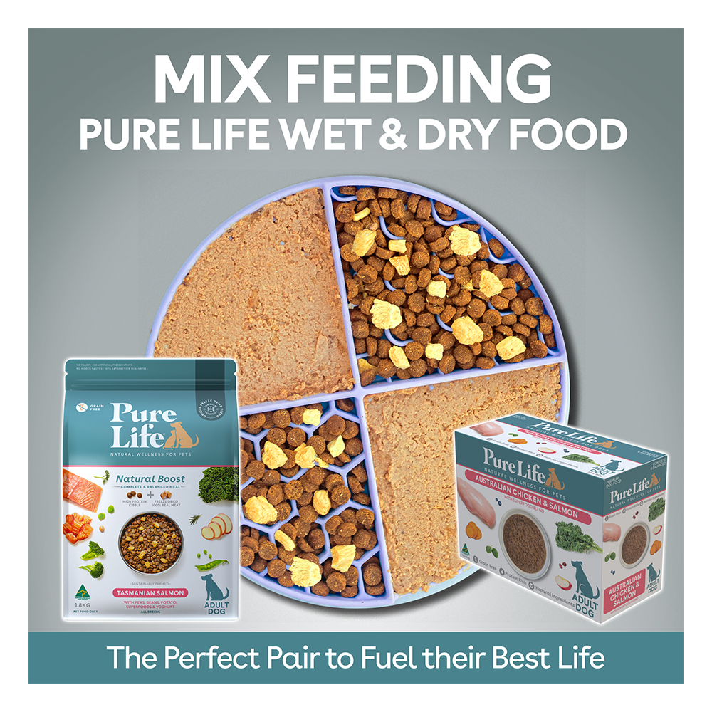 Pure Life Natural Boost Salmon Adult Dry Dog Food