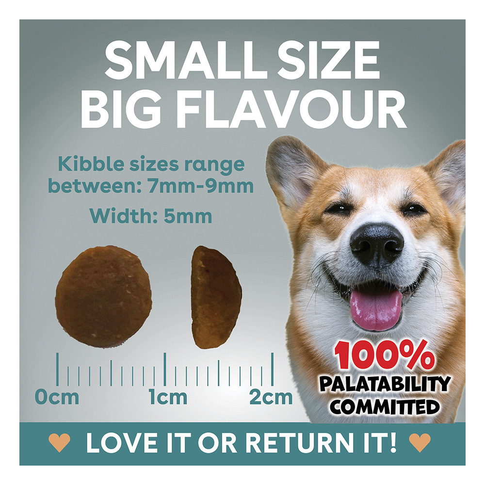 Pure Life Natural Boost Dog Adult Lamb