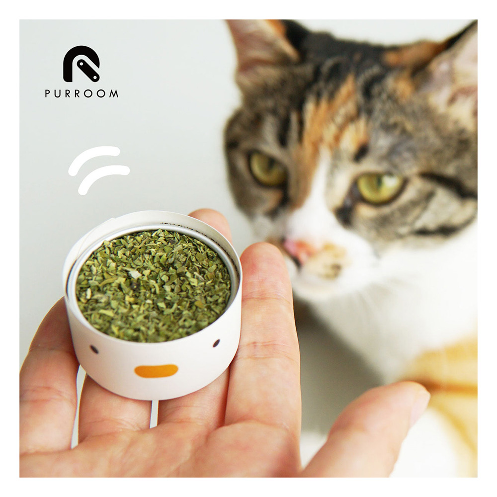 Purroom Dried Natural Catnip 3G for Cat Supplies