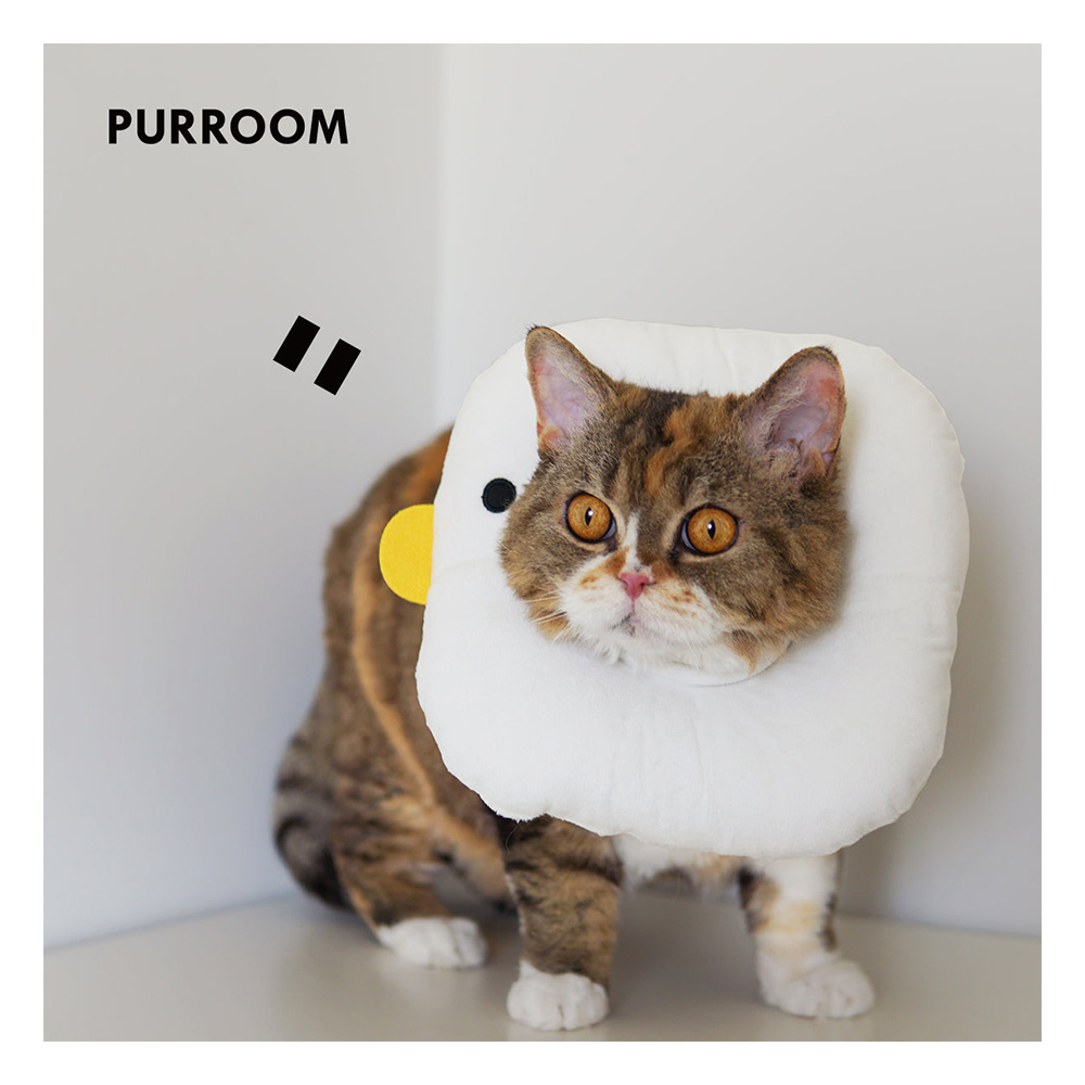 Purroom Pet Recovery Collar - Chick Medium for Cat Supplies
