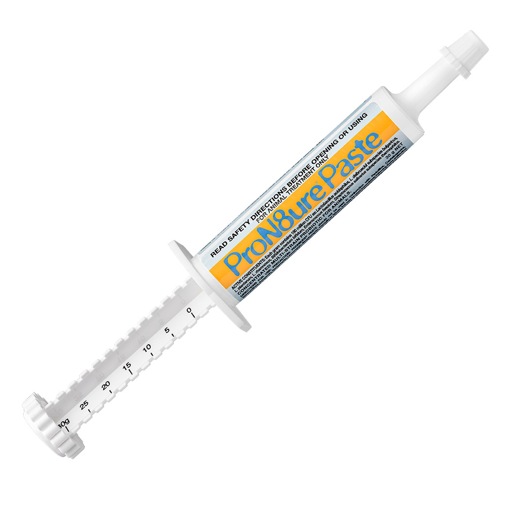 ProN8ure Paste for Dogs