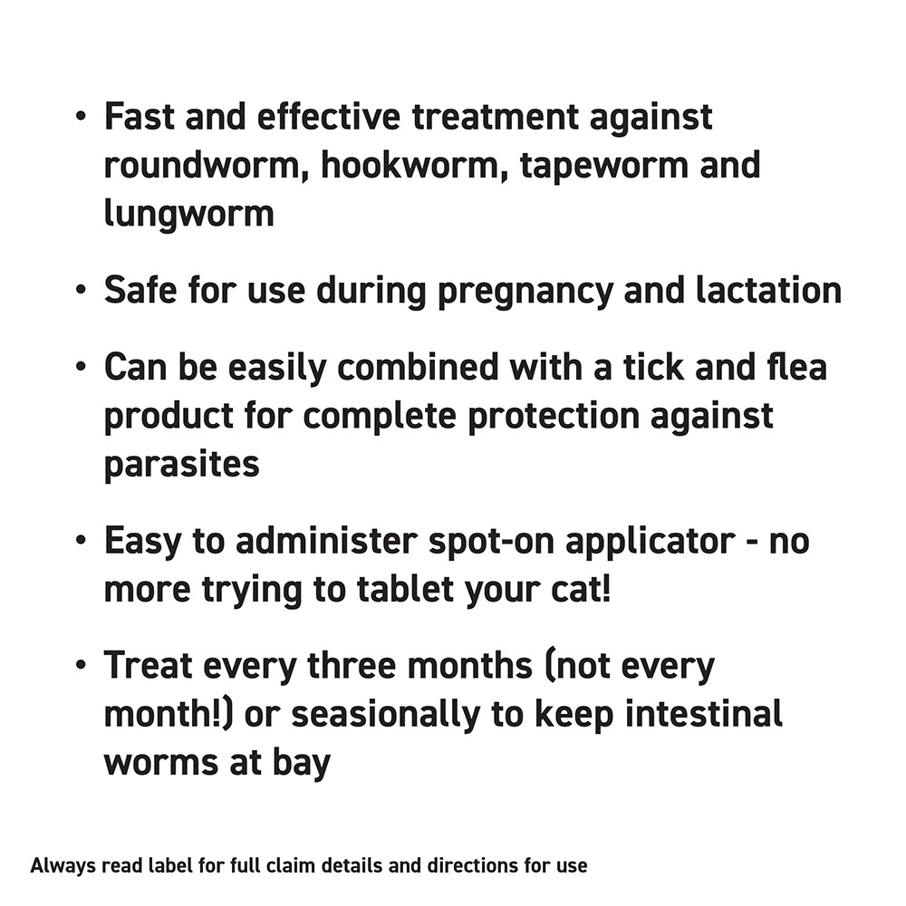 Profender Allwormer For Cats 2.5-5Kg (Blue)
