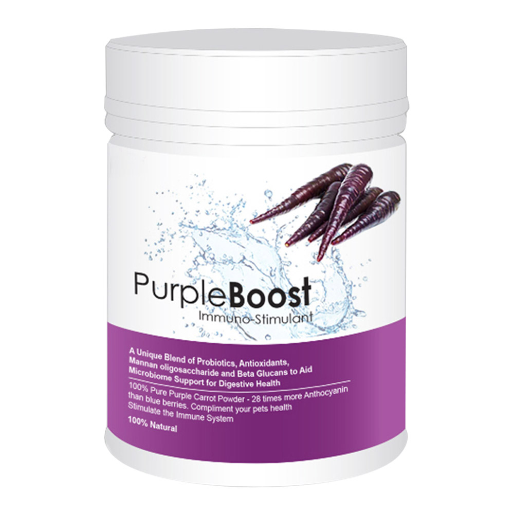 LifeWise Purple Boost Health Supplement For Dogs for Dog Supplies