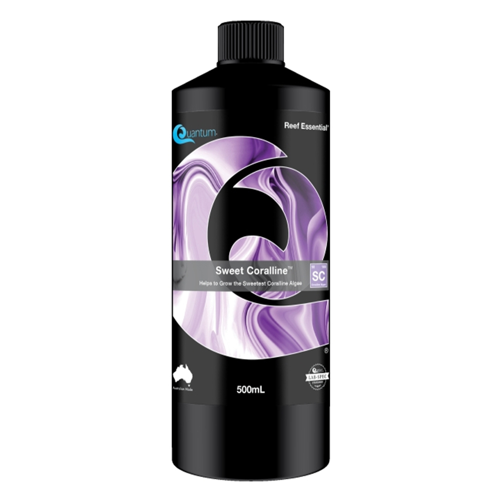 Quantum Sweet Coralline