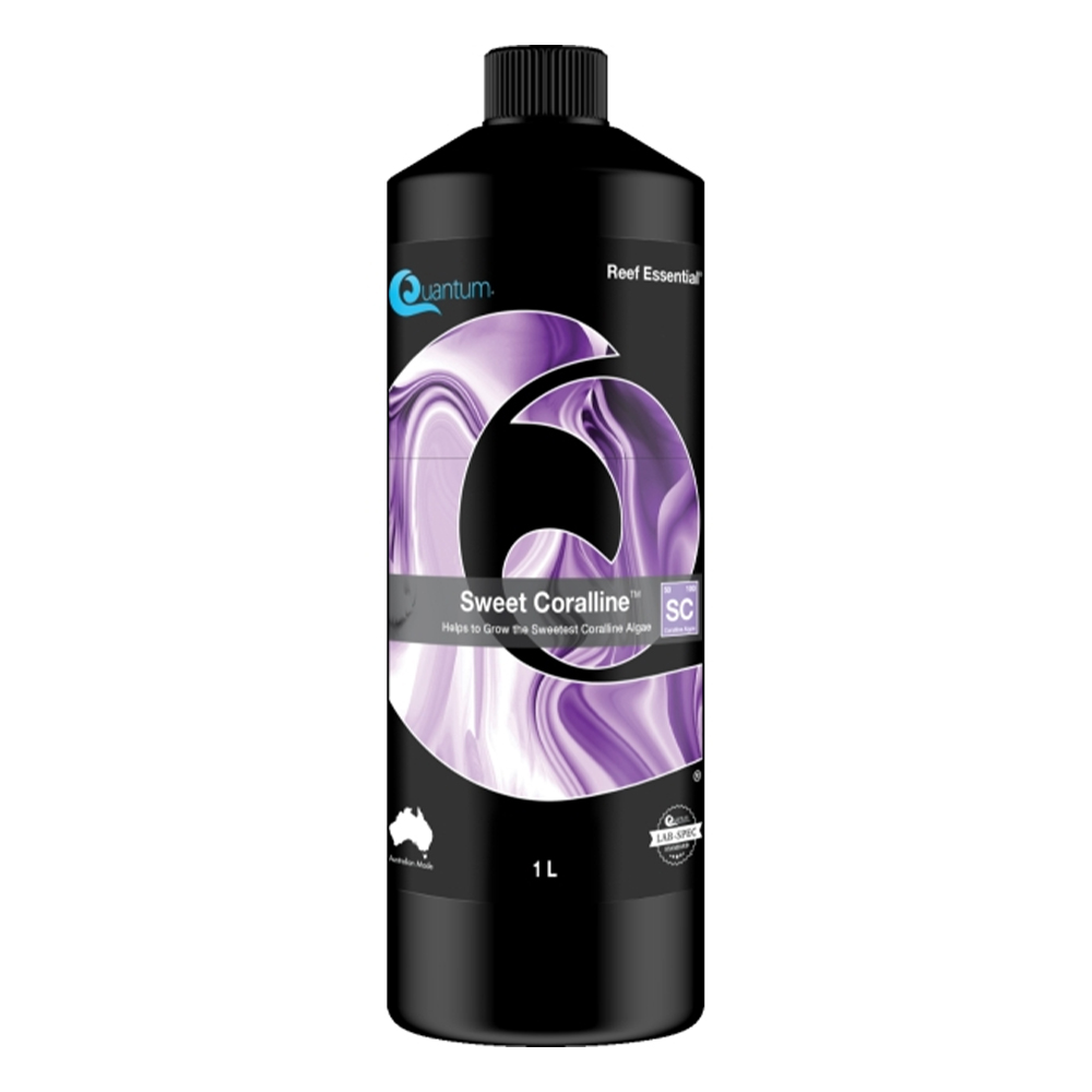 Quantum Sweet Coralline