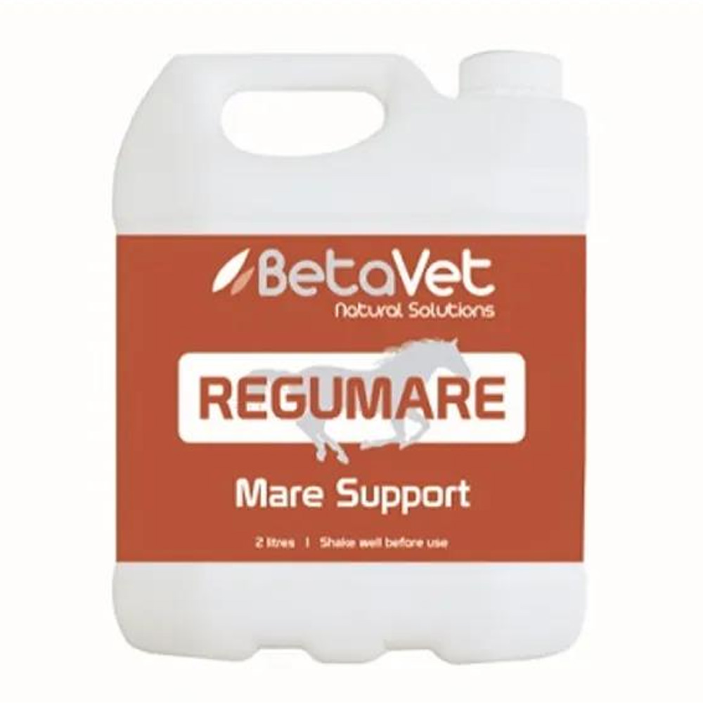 BetaVet Regumare Mare Support for Horse