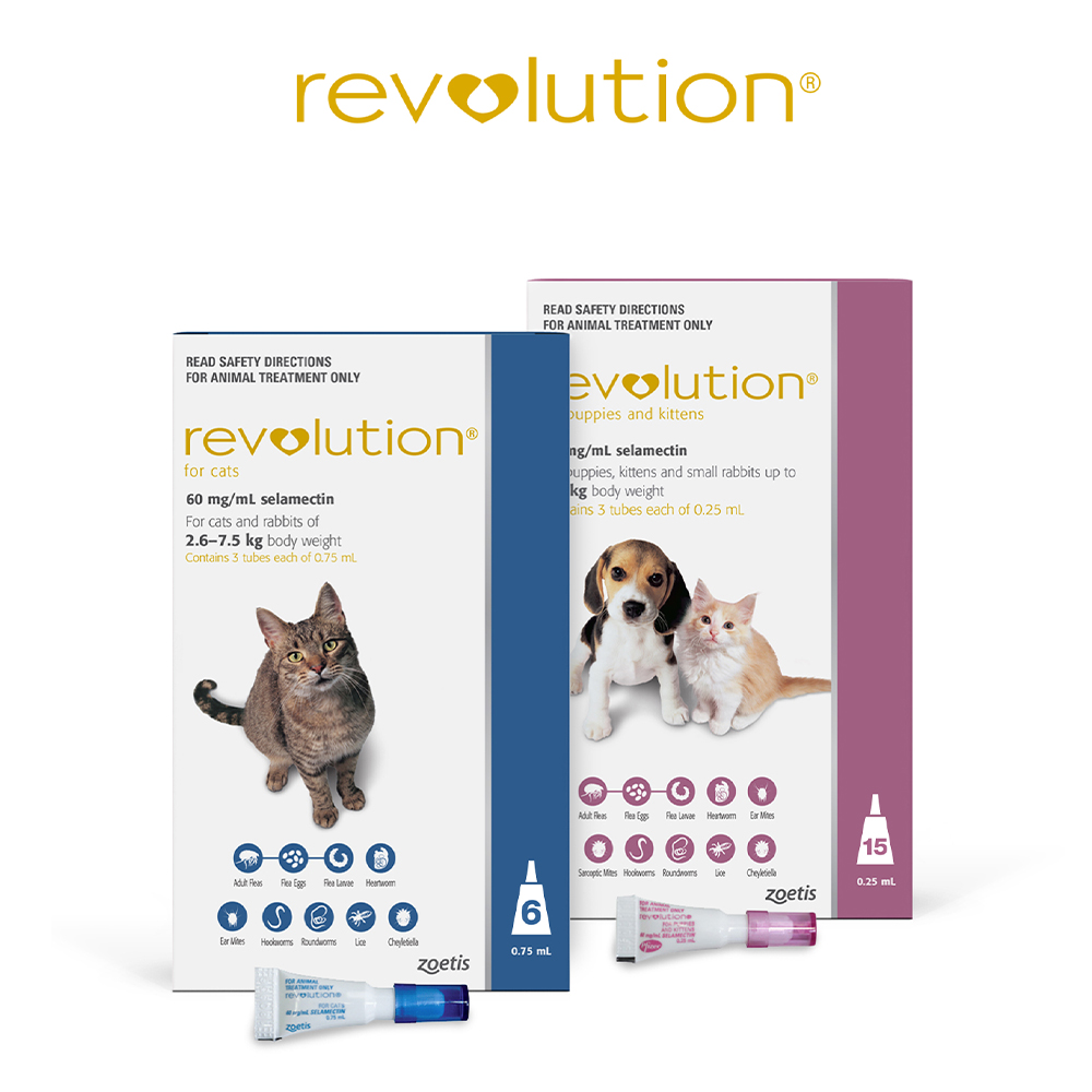 Revolution (Selamectin) For Kittens (Pink)