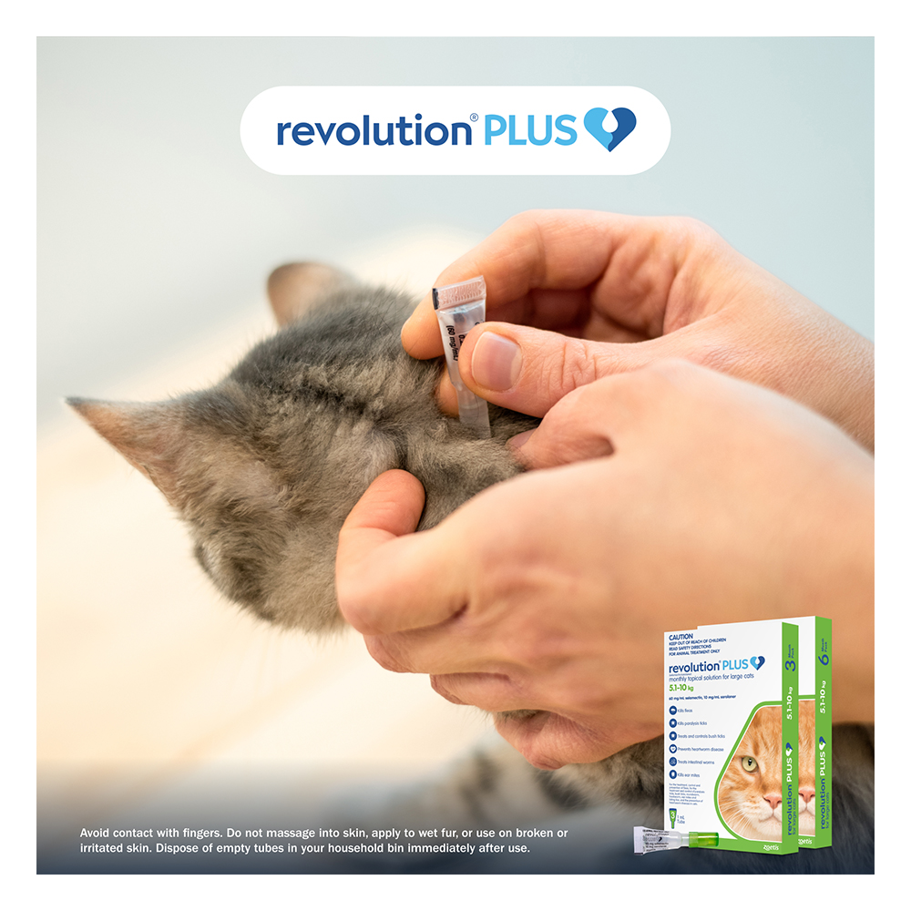 Revolution Plus for Large Cats 5.1 - 10Kg (Green)