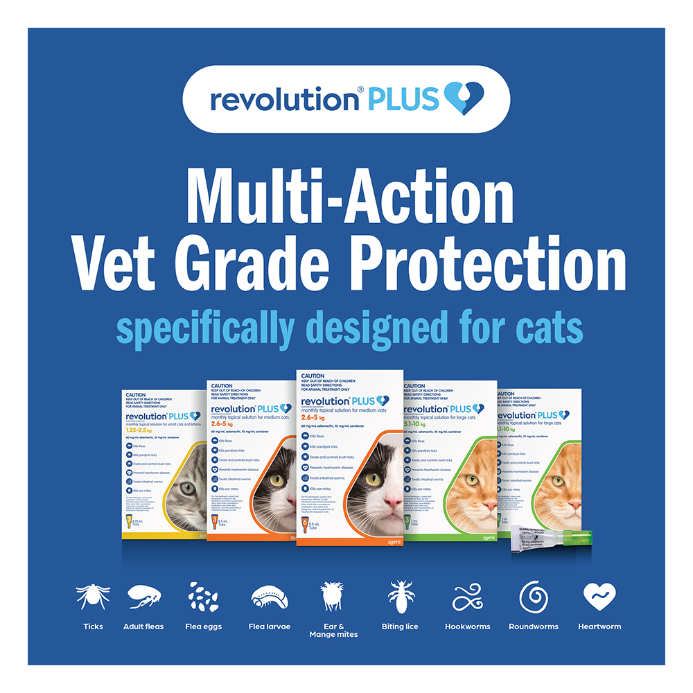 Revolution Plus for Kittens and Small Cats 1.25 - 2.5Kg (Yellow)
