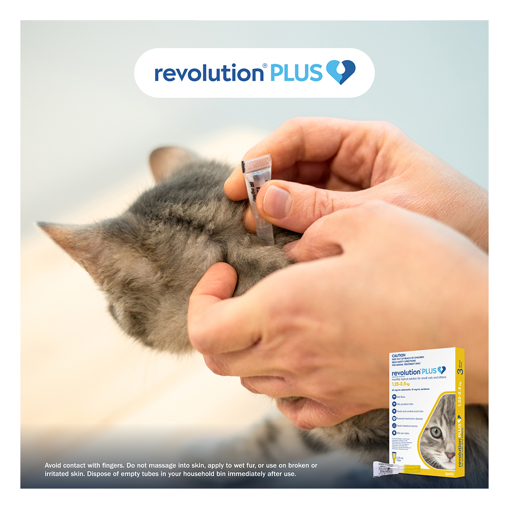 Revolution Plus for Kittens and Small Cats 1.25 - 2.5Kg (Yellow)