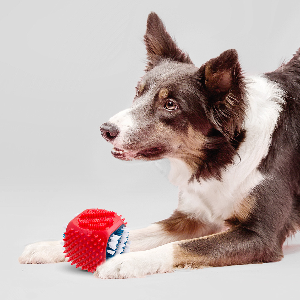 Rufus & Coco Clean & Chew Dental Toy for Dogs