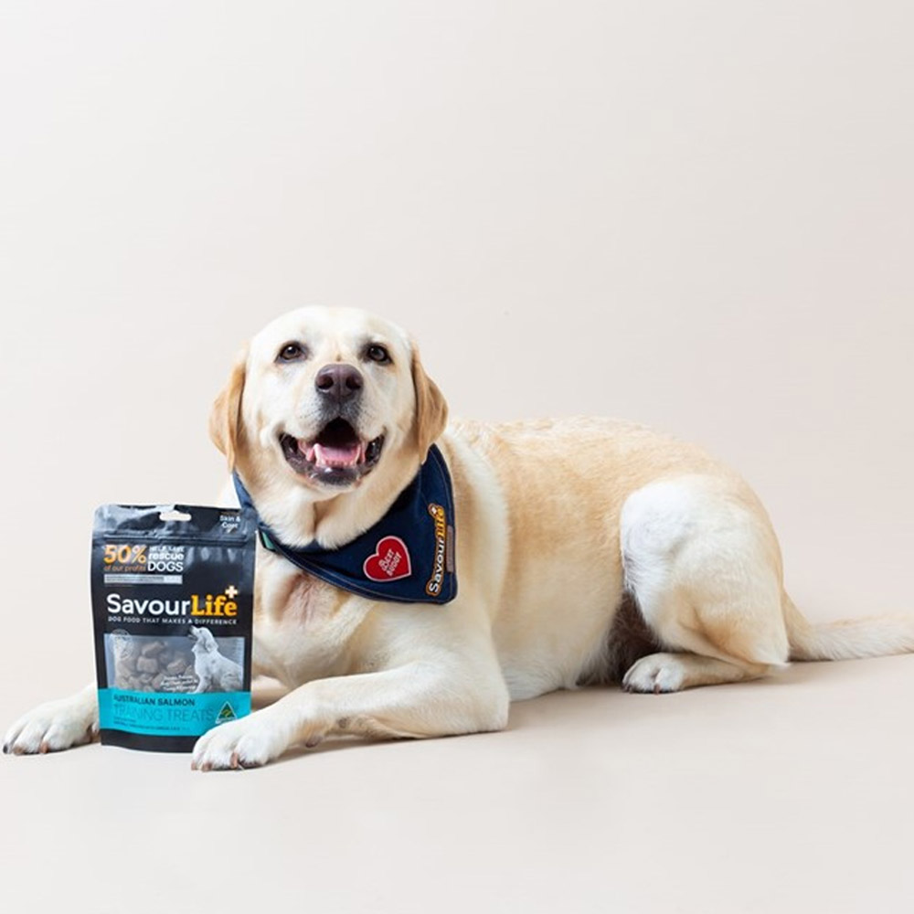 SavourLife Australian Salmon Training Treats for Dogs