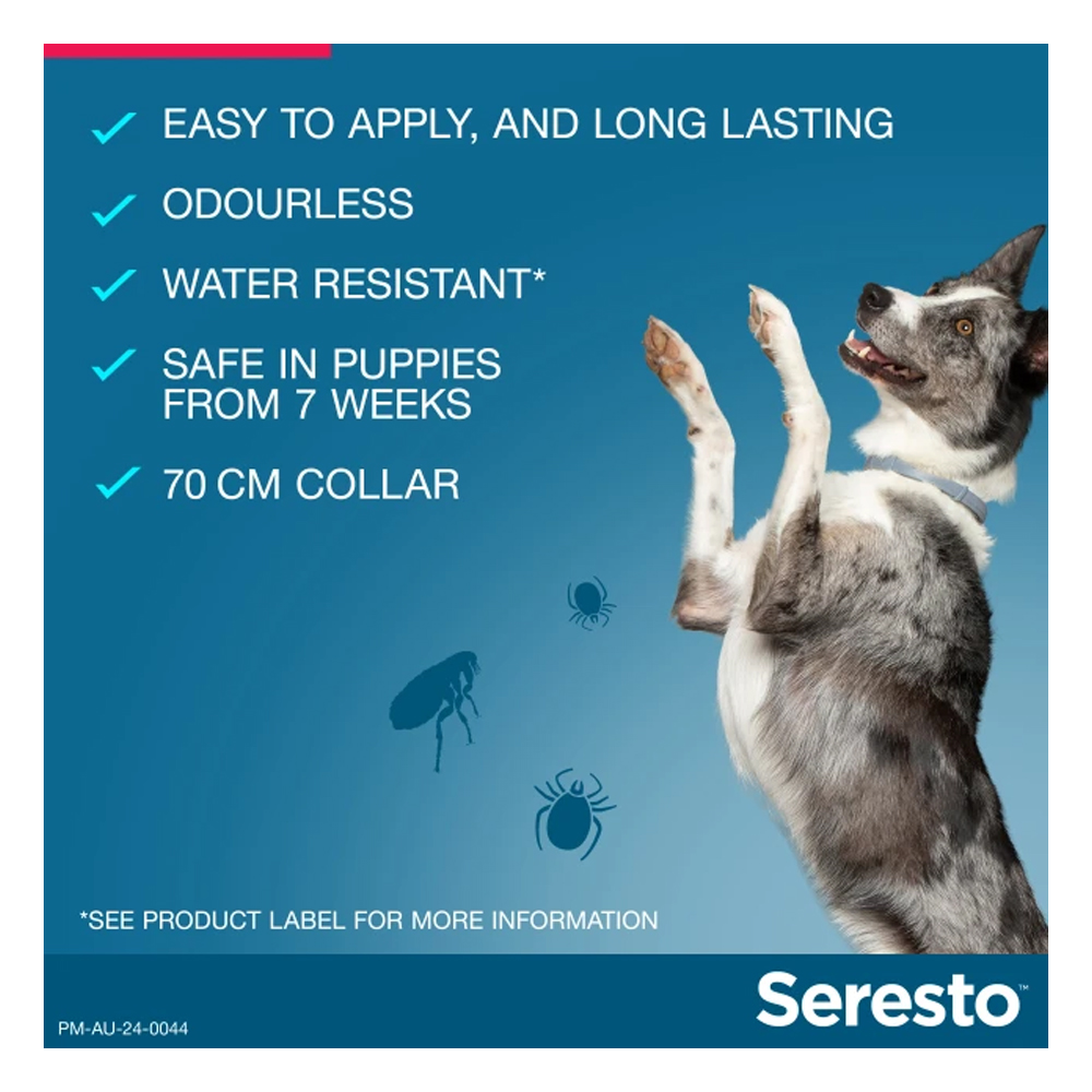 Seresto Flea and Tick Collar for Dogs over 8 Kg (Red)