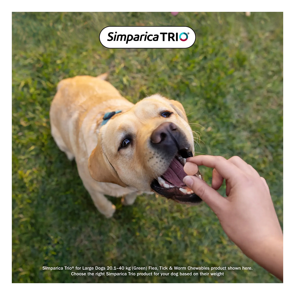 Simparica TRIO for Small Dogs 5.1-10kg (Orange)