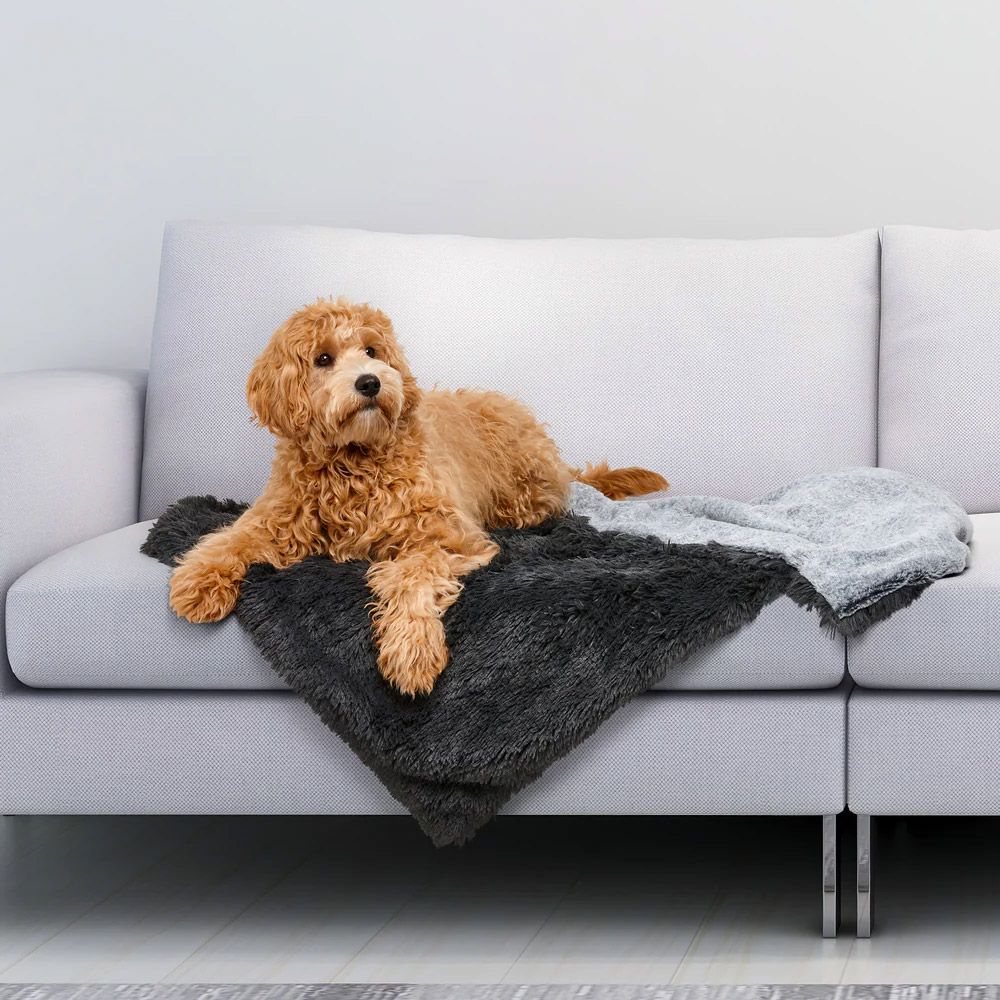 Snooza Calming Waterproof Blanket for Dogs