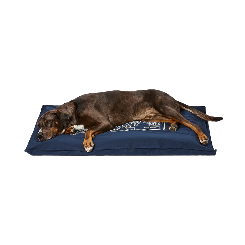 Snooza Organic Cotton Pet Futon Cover Blue