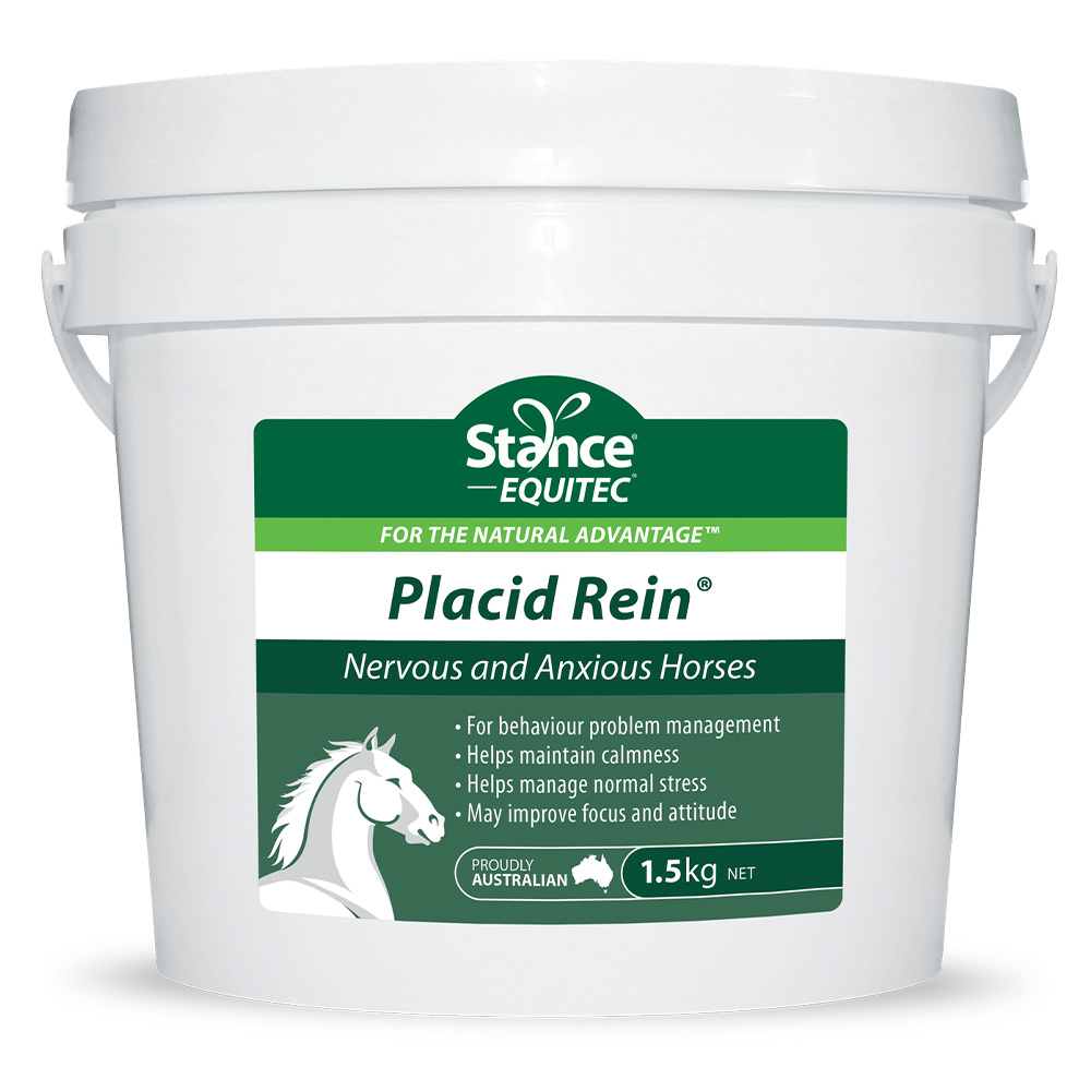 Stance Equitec Placid Rein for Horses for Horse Supplies