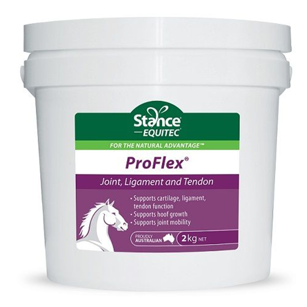 Stance Equitec Proflex for Horses