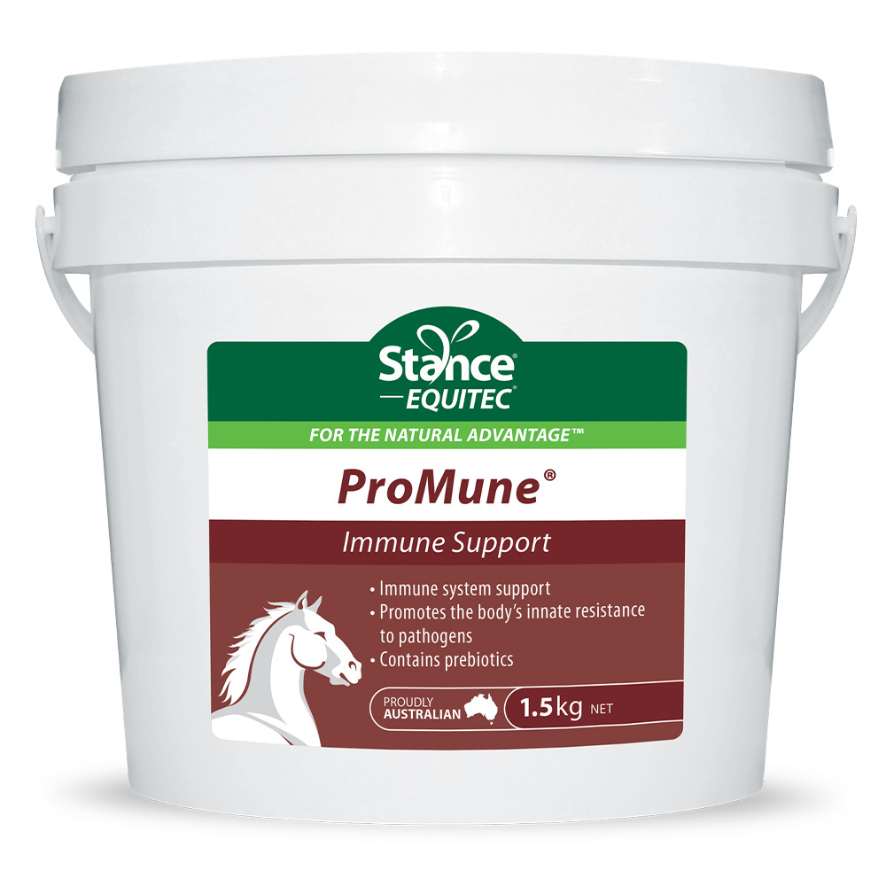 Stance Equitec Promune for Horses