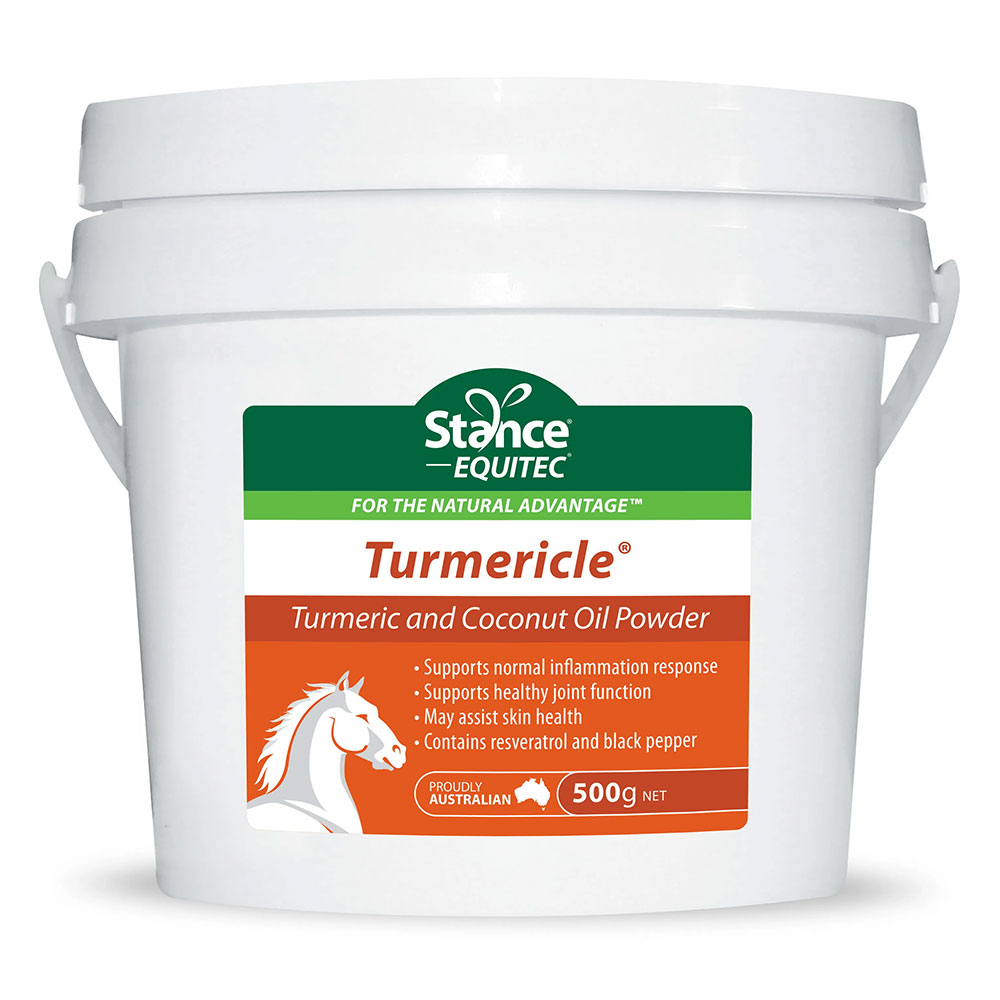 Stance Equitec Turmericle for Horses