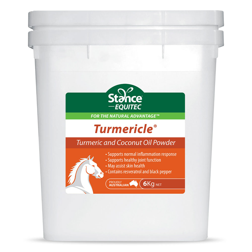 Stance Equitec Turmericle for Horses