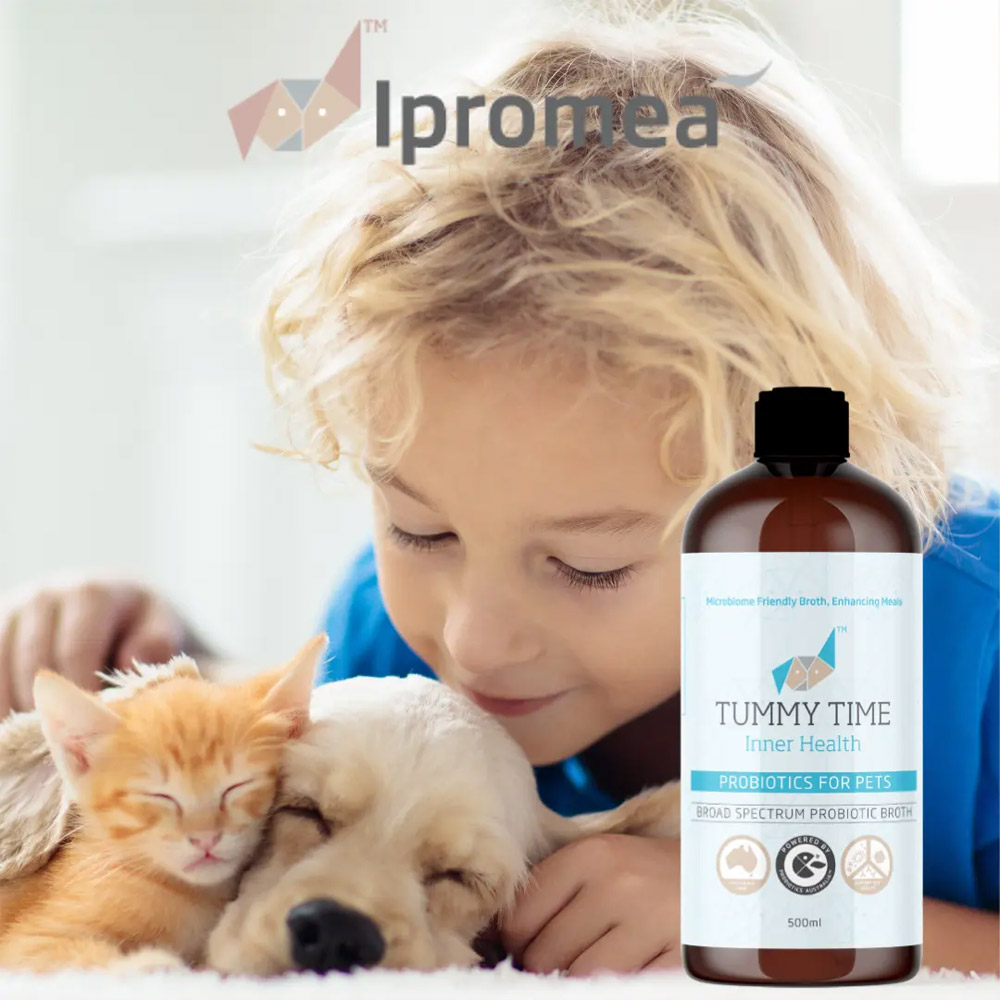 Ipromea Tummy Time Inner Health Broad Spectrum Probiotic Broth for Dogs and Cats