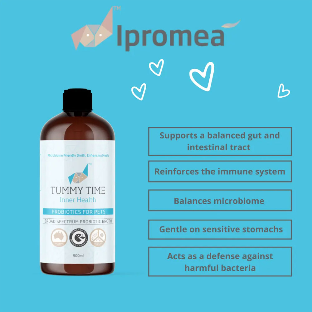 Ipromea Tummy Time Inner Health Broad Spectrum Probiotic Broth for Dogs and Cats