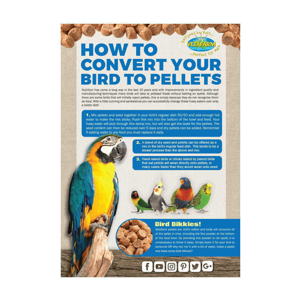 Vetafarm Maintenance Diet Parrot Pellet for Birds
