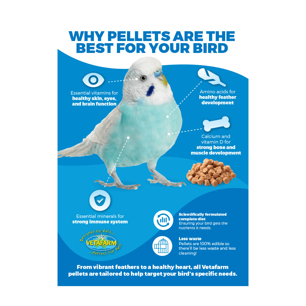 Vetafarm Maintenance Diet Parrot Pellet for Birds